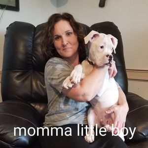 Meet your Posher, Leslie